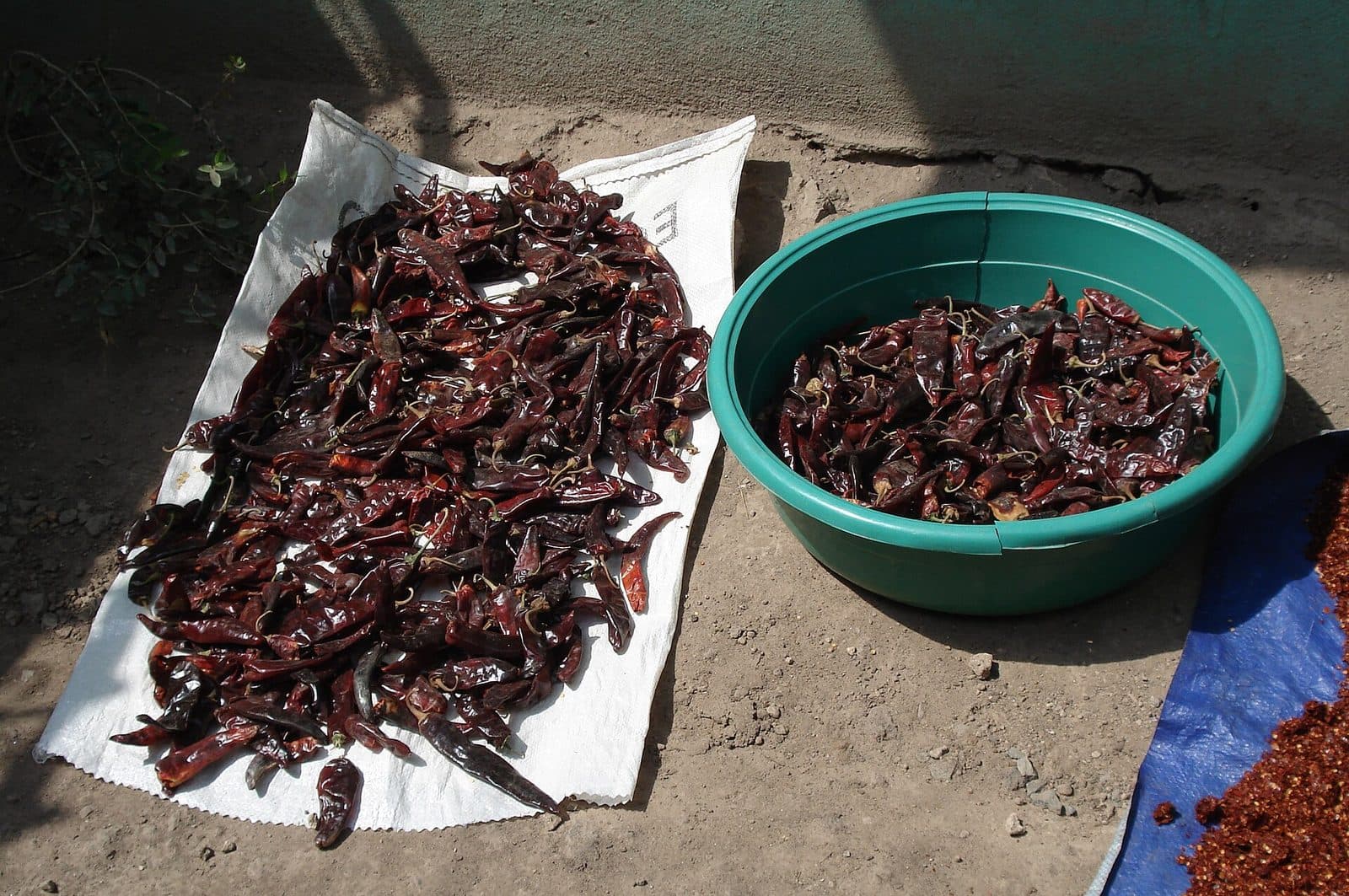 Rote Chilischoten trocknen in der Sonne - die Grundlage für Berbere